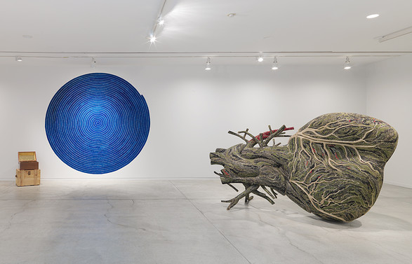 Installation view of Bharti Kher: Matter, exhibit at the Vancouver Art Gallery, July 9 to October 10, 2016